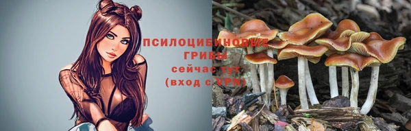 винт Арсеньев