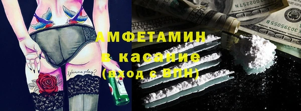 гидра Аркадак