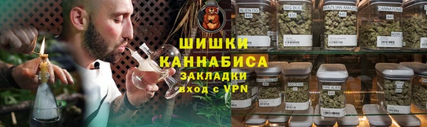 гидра Аркадак